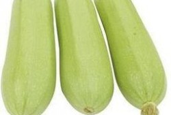 吃蒸角瓜能瘦吗视频教程,轻松享瘦的神奇食材