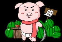 阿呆吃瓜素材视频下载安装,轻松获取热门素材，打造个性化短视频