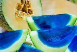 小黑狗吃哈密瓜视频,萌态十足引网友热议