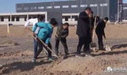 保德县吃瓜事件视频,一场引发热议的网络视频风波