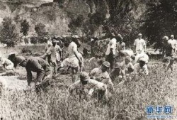 冕宁红军吃瓜事件视频,一段感人至深的军民鱼水情