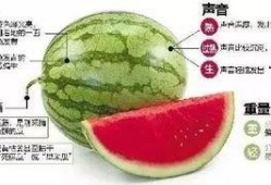 微信吃瓜各种视频,娱乐背后的人生百态