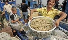 渤海国际吃瓜事件视频,一场网络热议的幕后真相揭秘