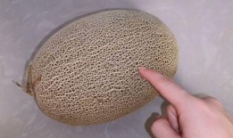 在家中吃哈密瓜可以吗视频,轻松学会在家享用哈密瓜