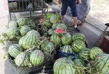 临安吃瓜事件视频最新,一场网络狂欢背后的真相与反思