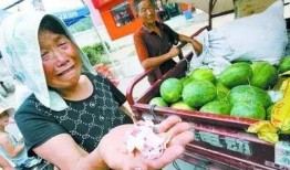 回民老阿爸吃瓜视频大全,吃瓜视频大全趣味盘点