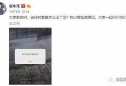 小崔吃瓜视频完整版,揭秘娱乐圈幕后真相，完整版大揭秘