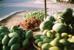 中国吃瓜群众表演视频