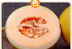 吃陕西黄河蜜瓜视频,陕西特色美食之旅