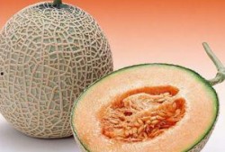 大鹅吃哈密瓜视频播放下载,视频播放与下载热潮