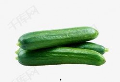 绿树吃瓜的视频下载软件,轻松下载视频，畅享娱乐时光