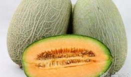 在家中吃哈密瓜可以吗视频,轻松学会在家享用哈密瓜