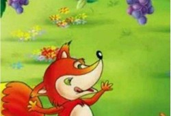 喜欢吃瓜的狐狸故事视频,狐狸的美食冒险之旅