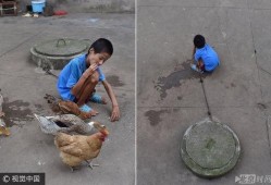 烂瓜能不能喂鸡鸭吃呀视频,揭秘废弃水果的另类用途