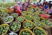 广西百色吃瓜视频,一场视觉与味蕾的双重盛宴