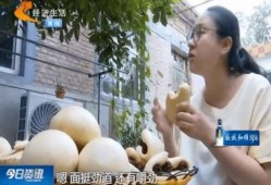 阿瓜吃牛皮的小视频是真的吗