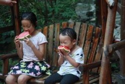 河南姐弟吃瓜视频,揭秘背后真相与网友热议