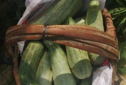 带货吃瓜全过程视频完整版,带货吃瓜大事件，带你领略网红带货魅力