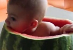 吃瓜小孩儿看的视频,揭秘吃瓜小孩儿眼中的神奇视频世界