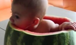 吃瓜小孩儿看的视频,揭秘吃瓜小孩儿眼中的神奇视频世界