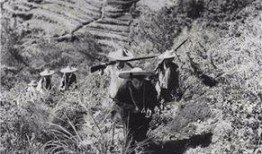 冕宁红军吃瓜事件视频,一段感人至深的军民鱼水情