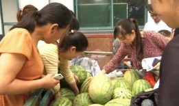 平川吃瓜群众事件视频,一场网络舆论的风暴与反思