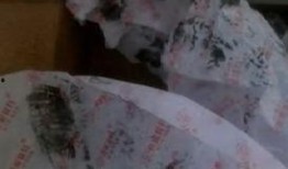 吃瓢瓜中毒死亡案例视频,吃瓢瓜中毒身亡，警惕夏日食品安全