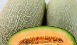 大鹅吃哈密瓜视频播放下载,视频播放与下载热潮