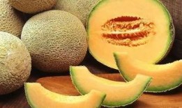 鹅喊主人吃哈密瓜视频在线观看,共享哈密瓜美味时光