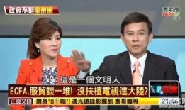 台湾名嘴吃瓜视频,娱乐背后的人生百态