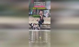 群众喂鹅吃瓜视频,网友直呼可爱爆表