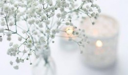 人生如梦吃瓜视频下载,揭秘热门吃瓜视频下载背后的故事