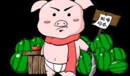 阿呆吃瓜素材视频下载安装,轻松获取热门素材，打造个性化短视频