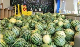 界首观止最新吃瓜视频