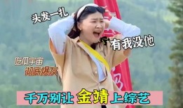 蔡一爸吃瓜视频,揭秘娱乐圈幕后故事