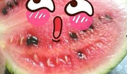 吃瓜合集怎么制作视频,一键打造热门短视频教程