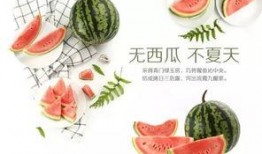 吃瓜活动的视频