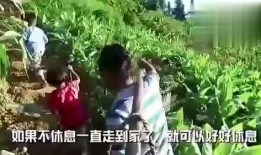 大树事件主播吃瓜视频大全,主播吃瓜视频大盘点，揭秘网络热点背后的真相