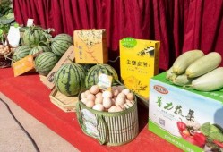 送瓜吃的视频,温馨视频传递邻里温情