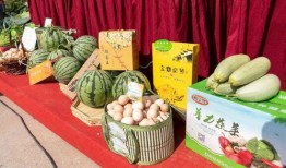 送瓜吃的视频,温馨视频传递邻里温情