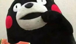 吃瓜群众小呆呆视频,揭秘娱乐圈幕后故事