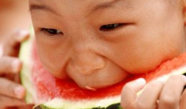 吃瓜小熊韩国人视频,揭秘韩国美食与文化的独特魅力