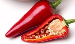 吃龙瓜能得癌症吗视频,专家解读食品安全疑虑