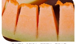 吃陕西黄河蜜瓜视频,陕西特色美食之旅