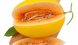 喝酒吃蜜瓜视频,夏日消暑新风尚