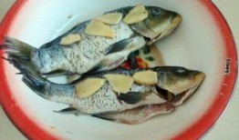 鱼儿吃瓜视频,揭秘水下美食奇观