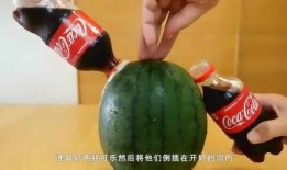 真实吃瓜视频大全集,揭秘真实吃瓜视频大全集