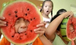 呆瓜喜欢吃西瓜吗视频讲解