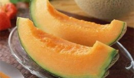 静儿吃哈密瓜视频播放