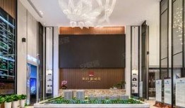 翰林府售楼处大厅视频吃瓜,揭秘售楼处大厅的“吃瓜”现场